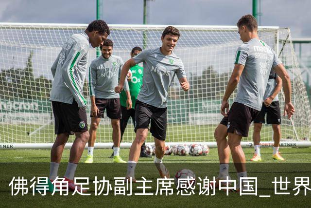 佛得角足协副主席感谢中国 世界杯后将安排与国足友谊赛