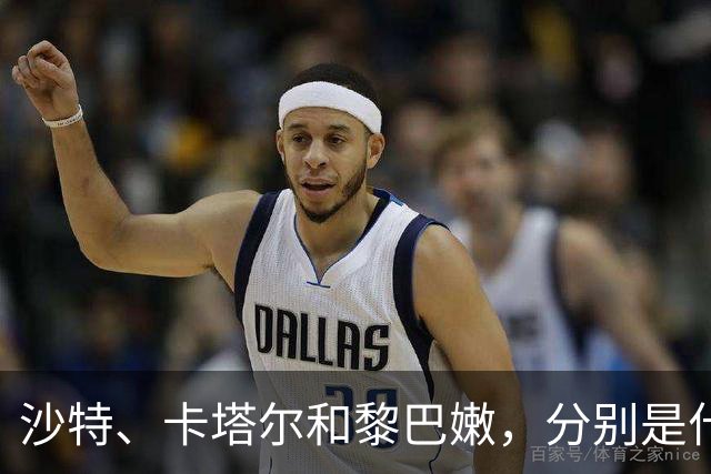 沙特、卡塔尔和黎巴嫩，分别是什么水平？