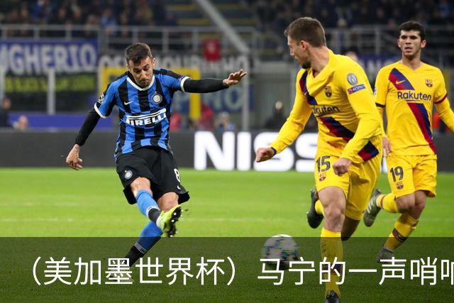 （美加墨世界杯）马宁的一声哨响，中国足球的另一种抵达