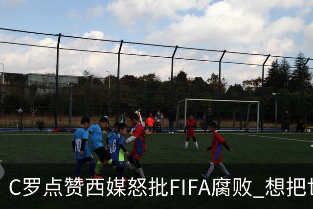 C罗点赞西媒怒批FIFA腐败 想把世界杯送给阿根廷视频